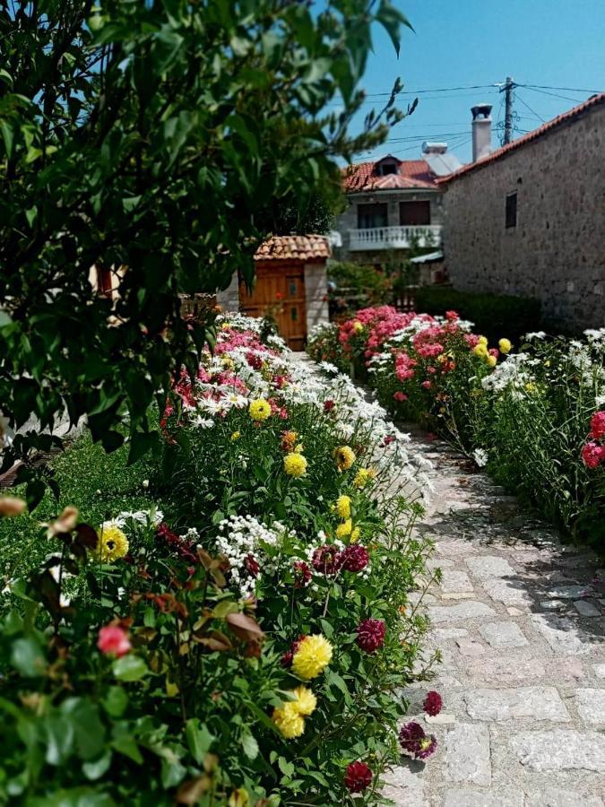 Bujtina Shkodrani Bed and Breakfast Voskopojë Eksteriør billede