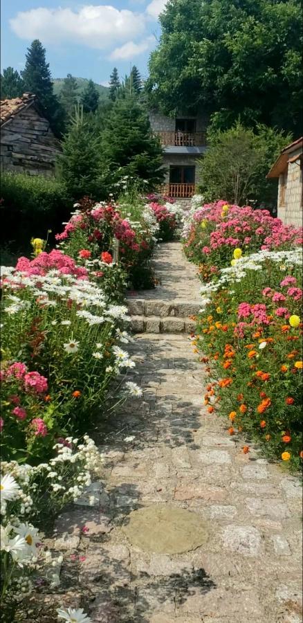 Bujtina Shkodrani Bed and Breakfast Voskopojë Eksteriør billede
